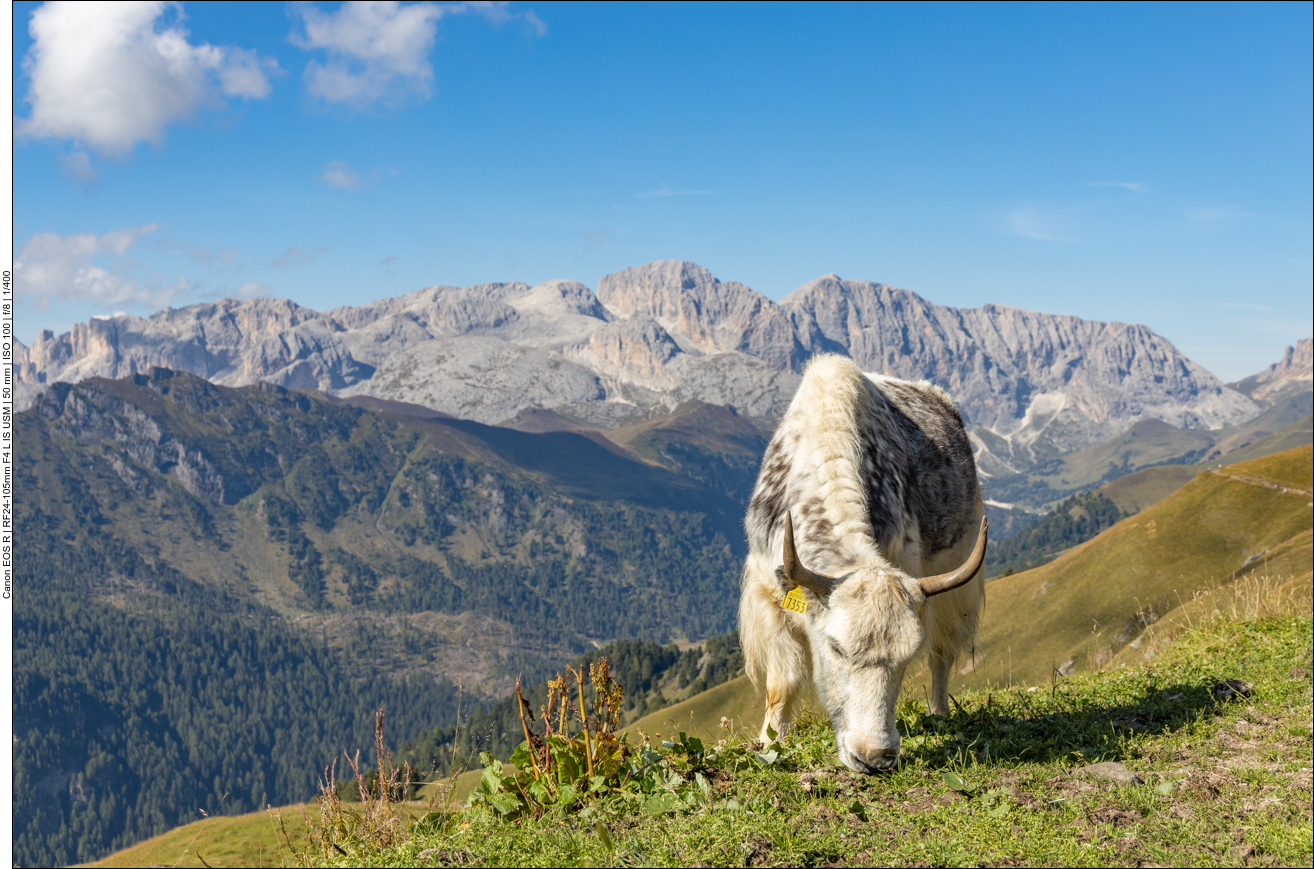 Fast wie im Himalaya ;-)