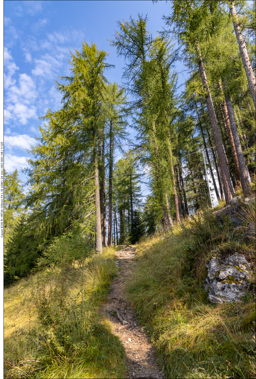 ... bevor uns der Pfad weiter hinauf führt