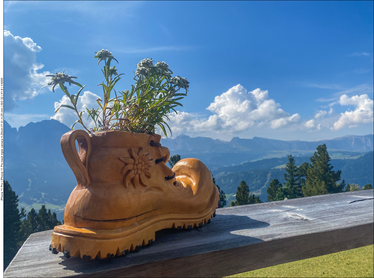 Schnitzereien kann man auf der Hütte auch kaufen