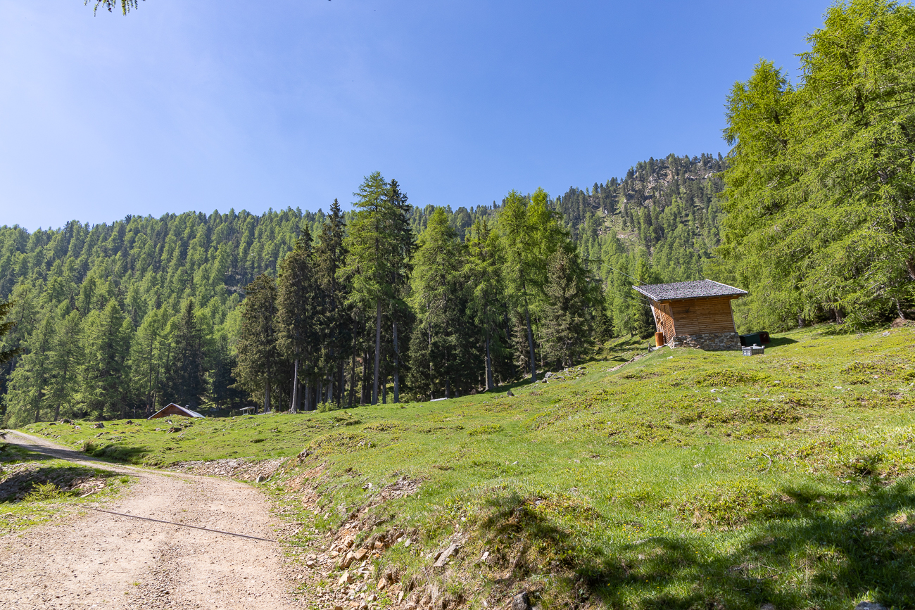An der Tomberger Alm