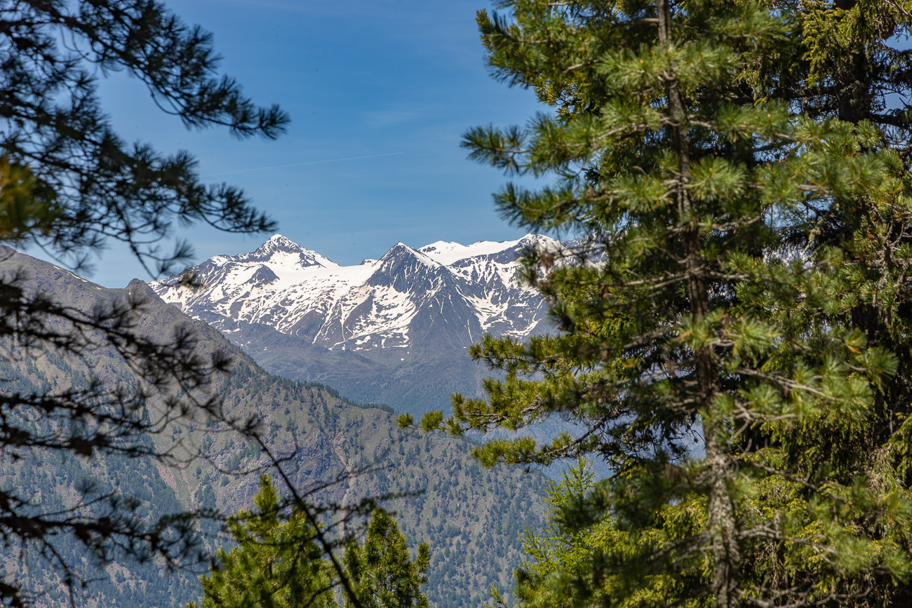 Schnee auf den Bergen ist immer ein schöner Anblick