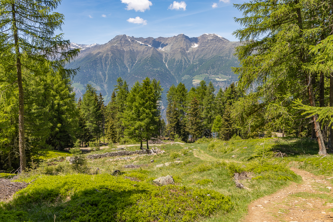 Schöner Weg ins Tal