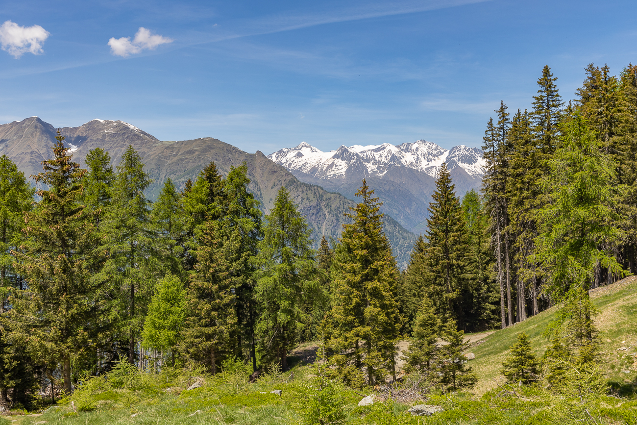 Hier kann man die Natur genießen