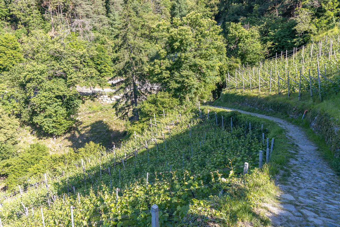 Wanderweg aus Feldsteinen