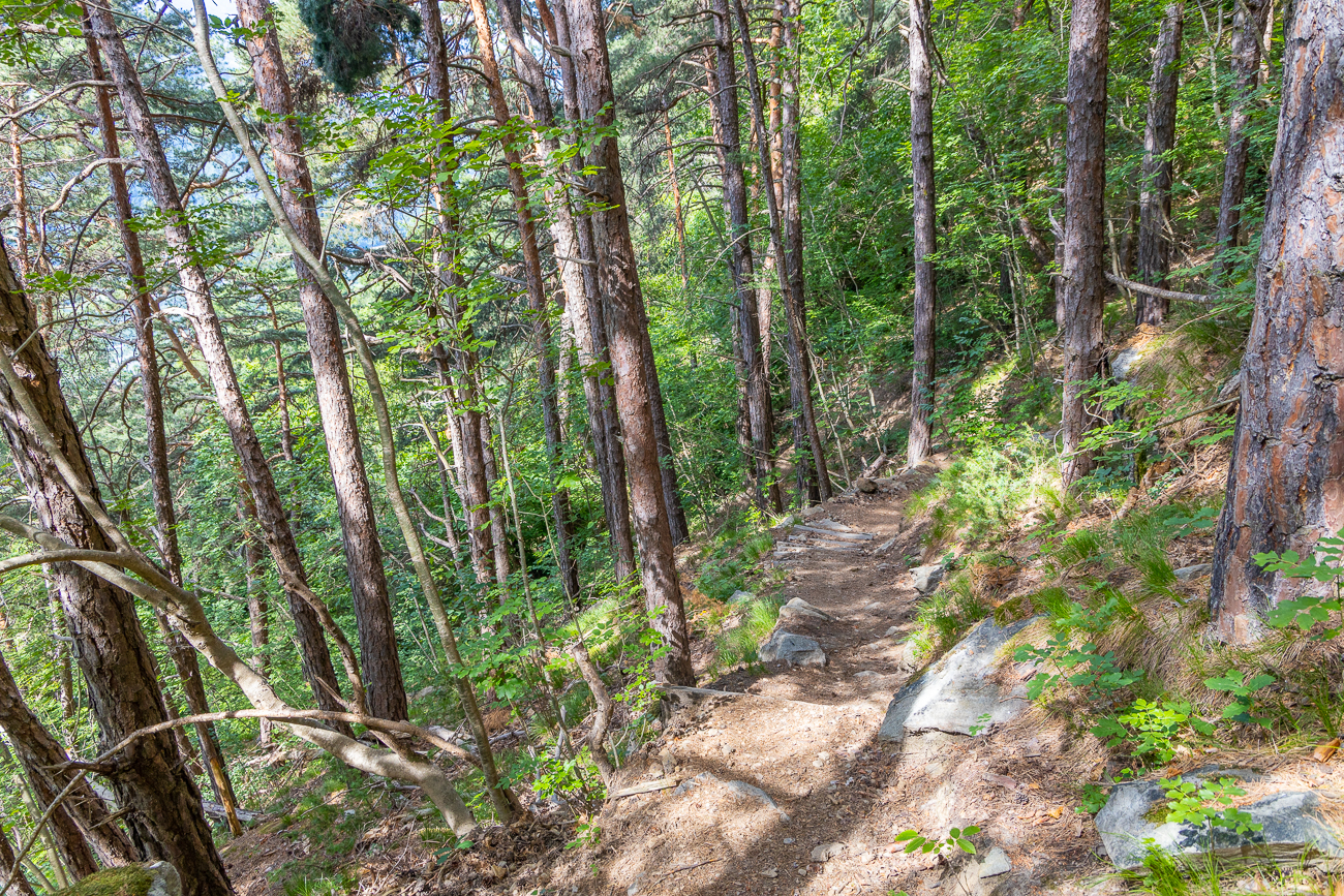 Nun geht es wieder bergab