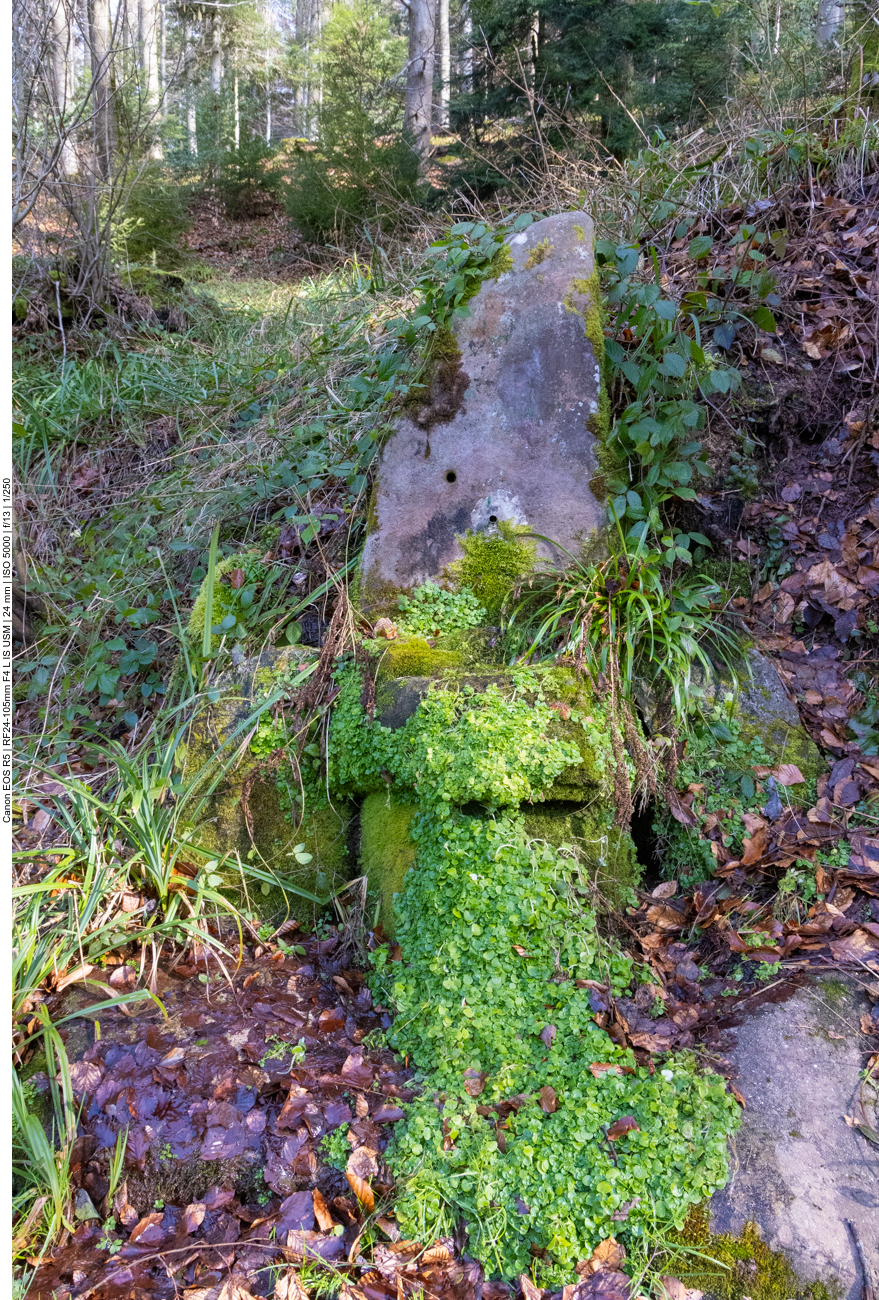 Zugewachsener Brunnen