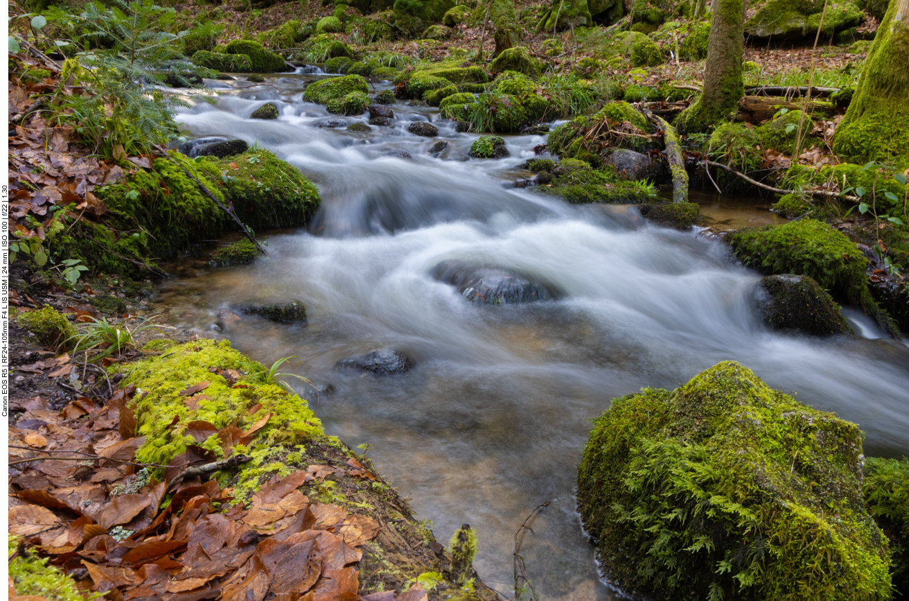 Einige Wanderungen die wir 2022 in Baden-Württemberg unternommen haben