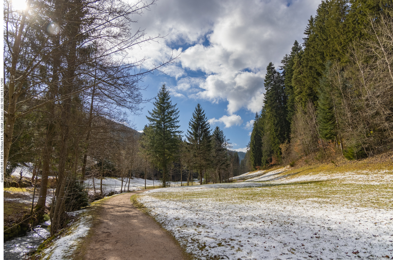 Wanderweg entlang des Sankenbachs
