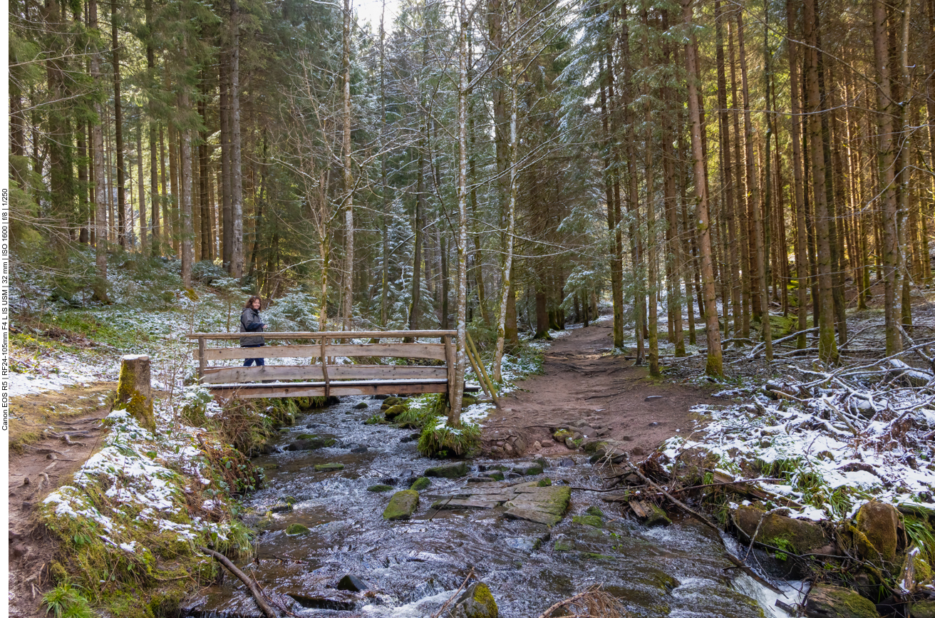 Brücke über den Sankenbach