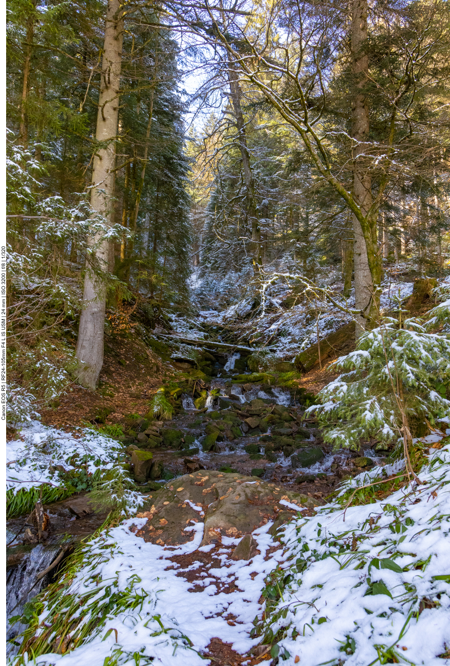 Kurzer Blick zum unteren Teil des Sankenbachwasserfalls