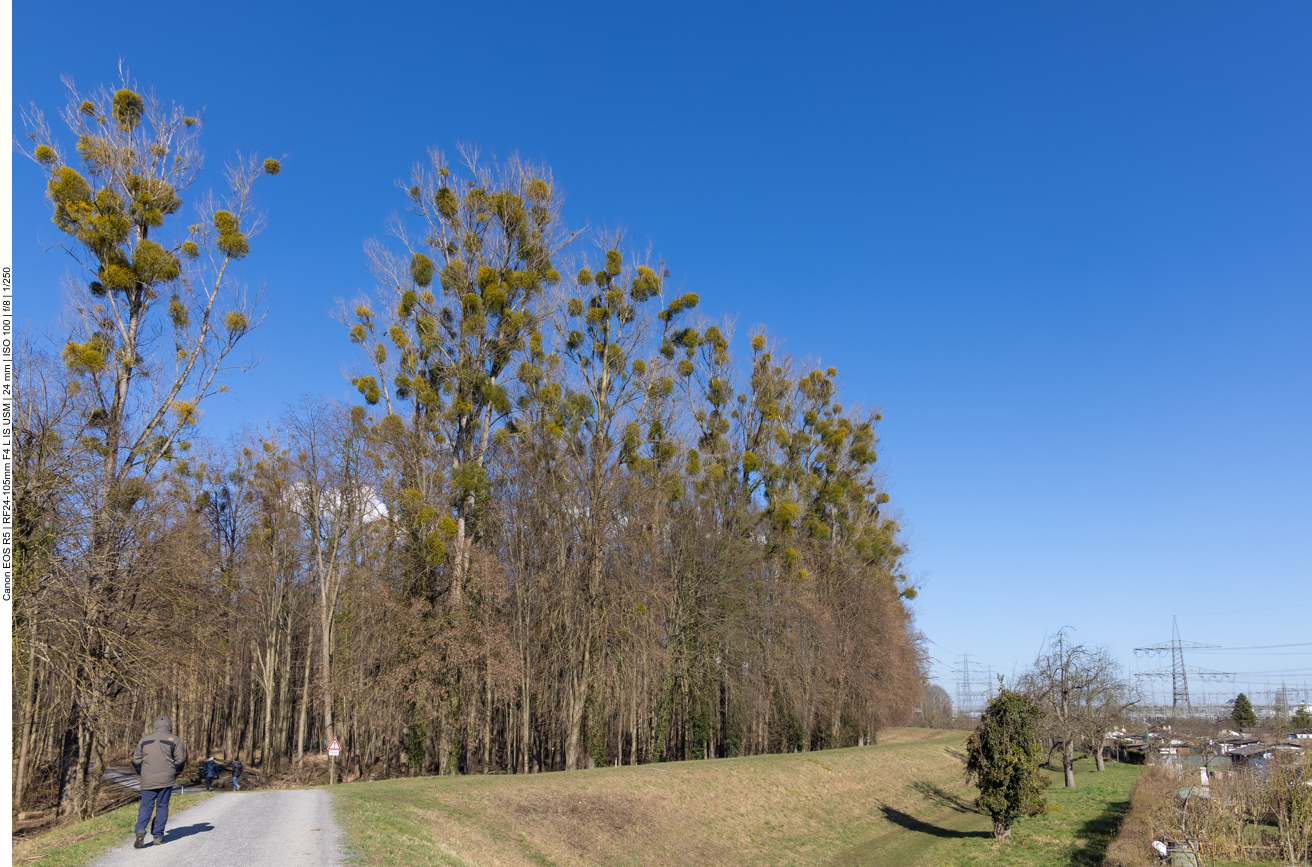Am Anfang des Weges war es sehr windig