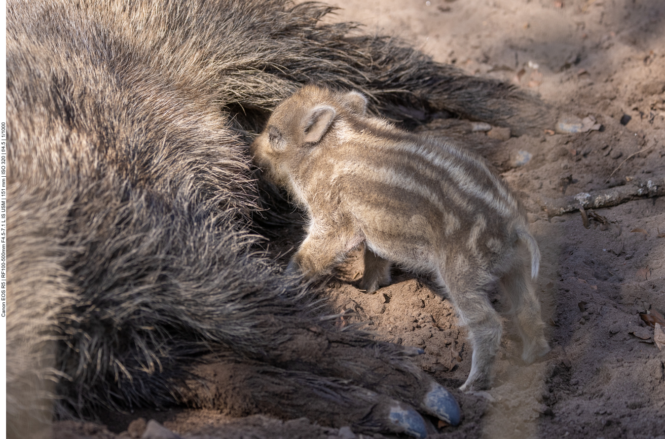 ... ist der beste Platz ;-)