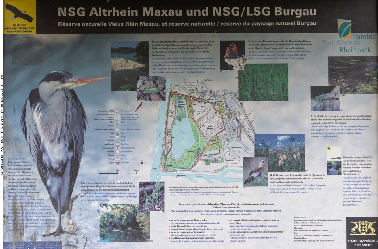 Naturschutzgebiet Knielinger See