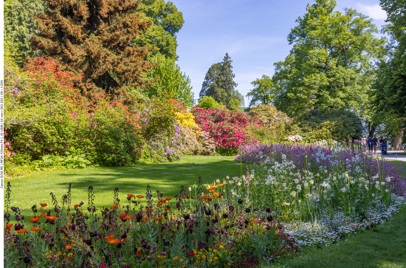 ... überall auf der Insel