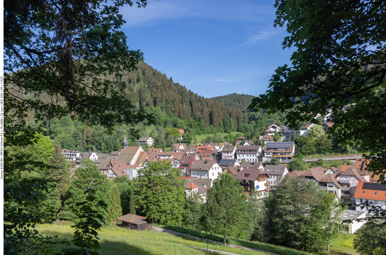 Blick auf Bad Teinach