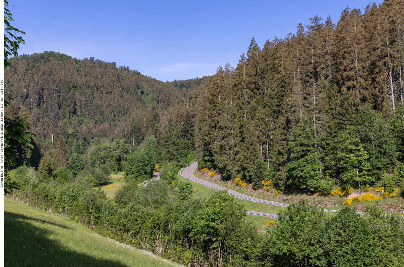 Schwarzwaldsträßchen