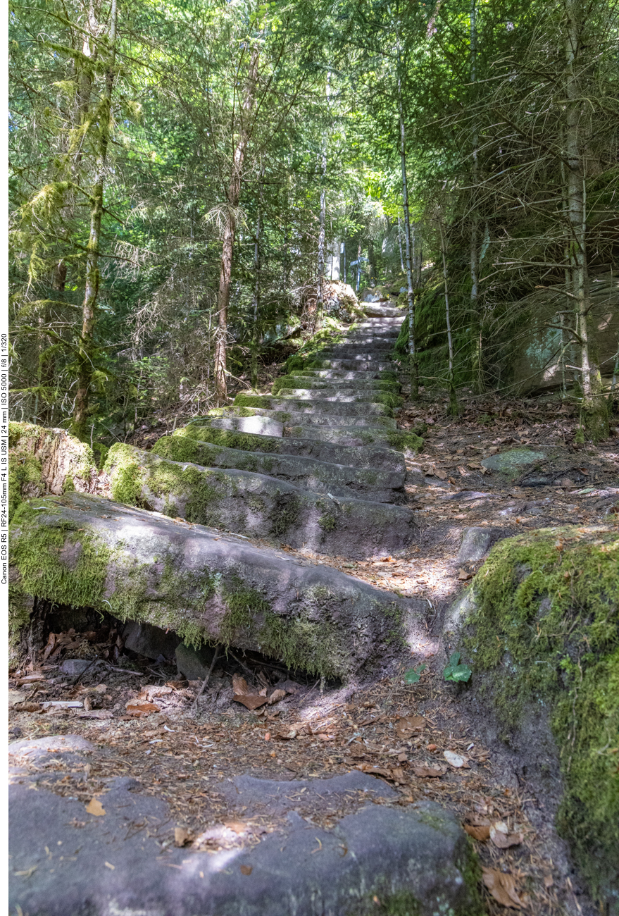 Die nächsten Stufen folgen ...