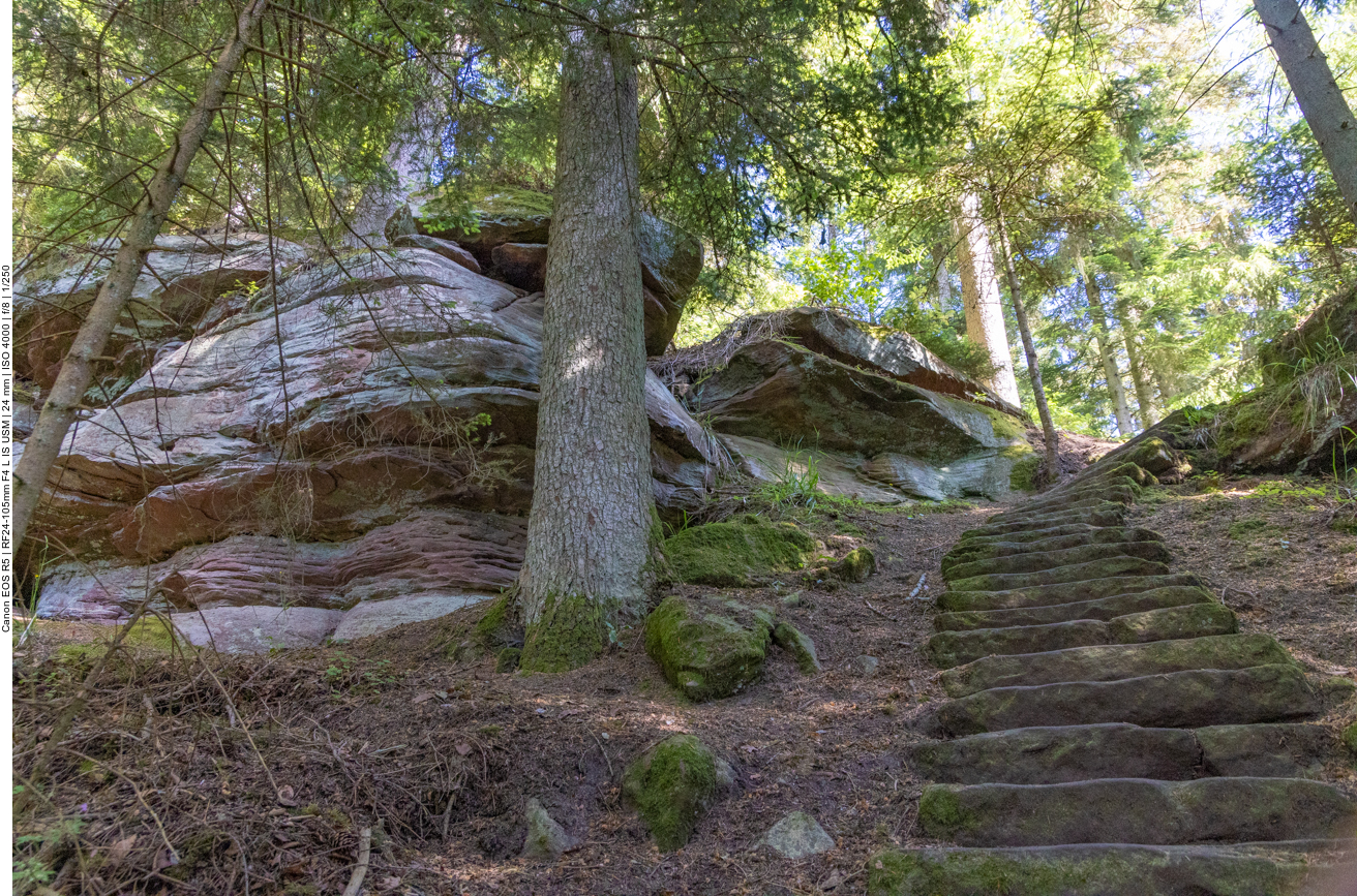... sind aber nicht die letzten