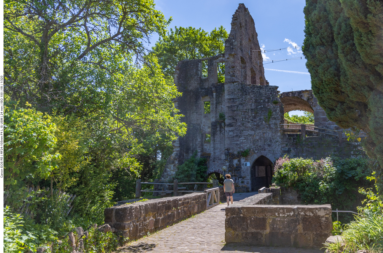 Burgruine Zavelstein