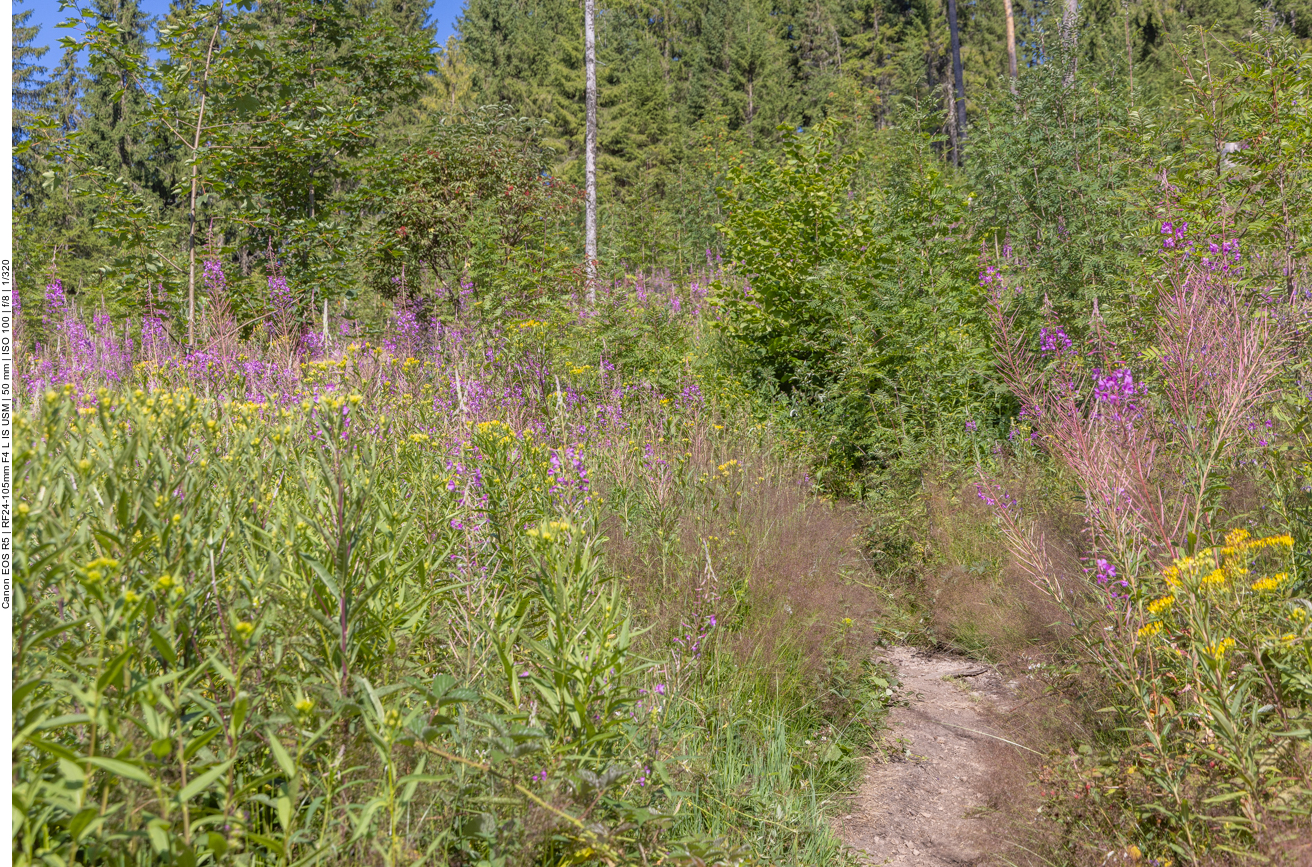 Da ist er, eng und versteckt