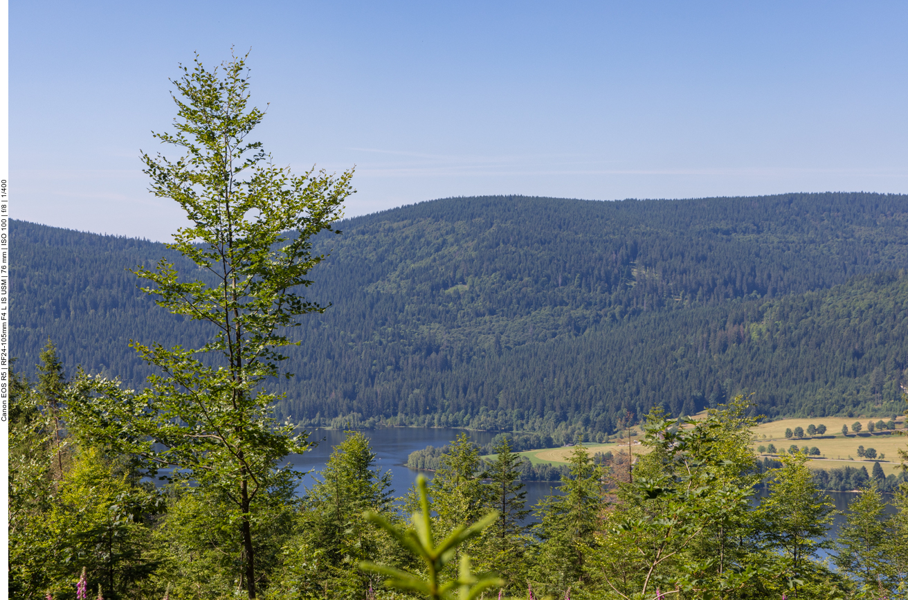 Blick auf den Schluchsee