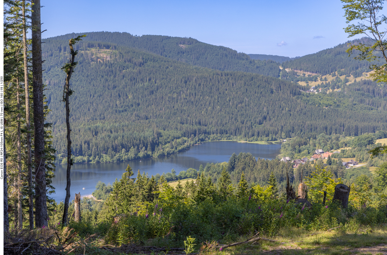 Blick auf den Schluchsee