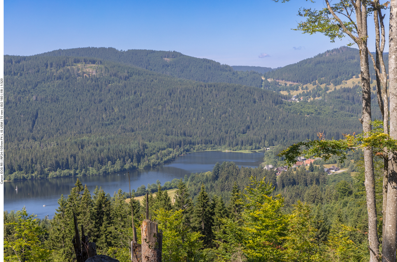 Blick auf den Schluchsee