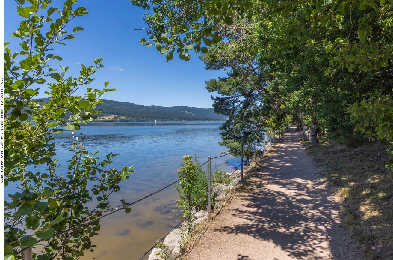Wanderweg am Schluchsee