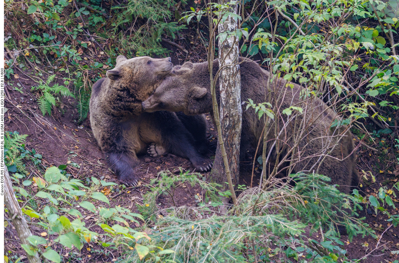 ... kann mich denn niemand in Ruhe dösen lassen?