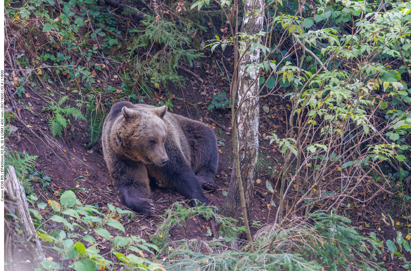 Und jetzt kommt auch noch Besuch ...