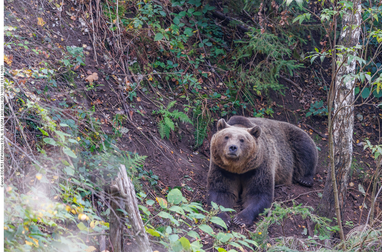 Wer glotzt mich denn da so an?