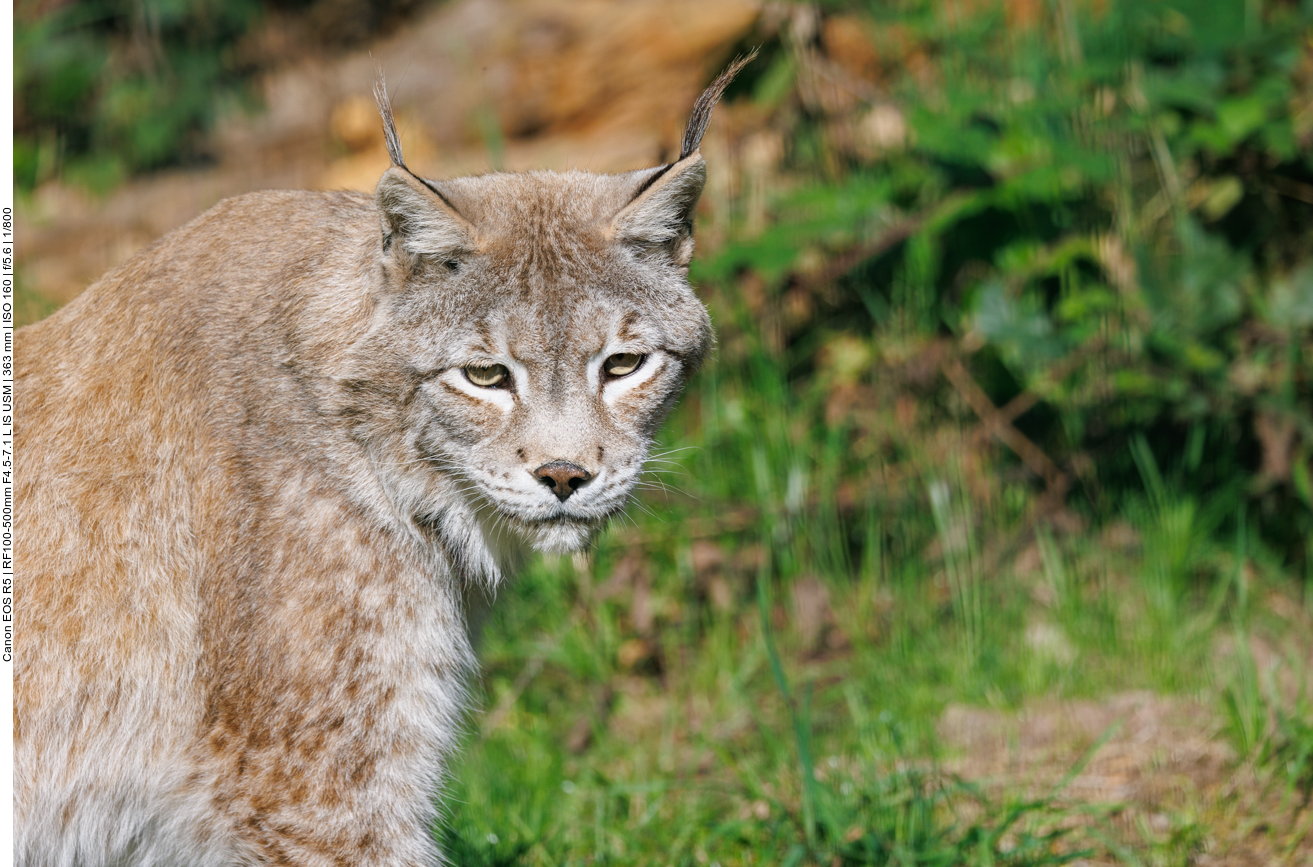 Für mich ist wieder mal nichts übrig :-(