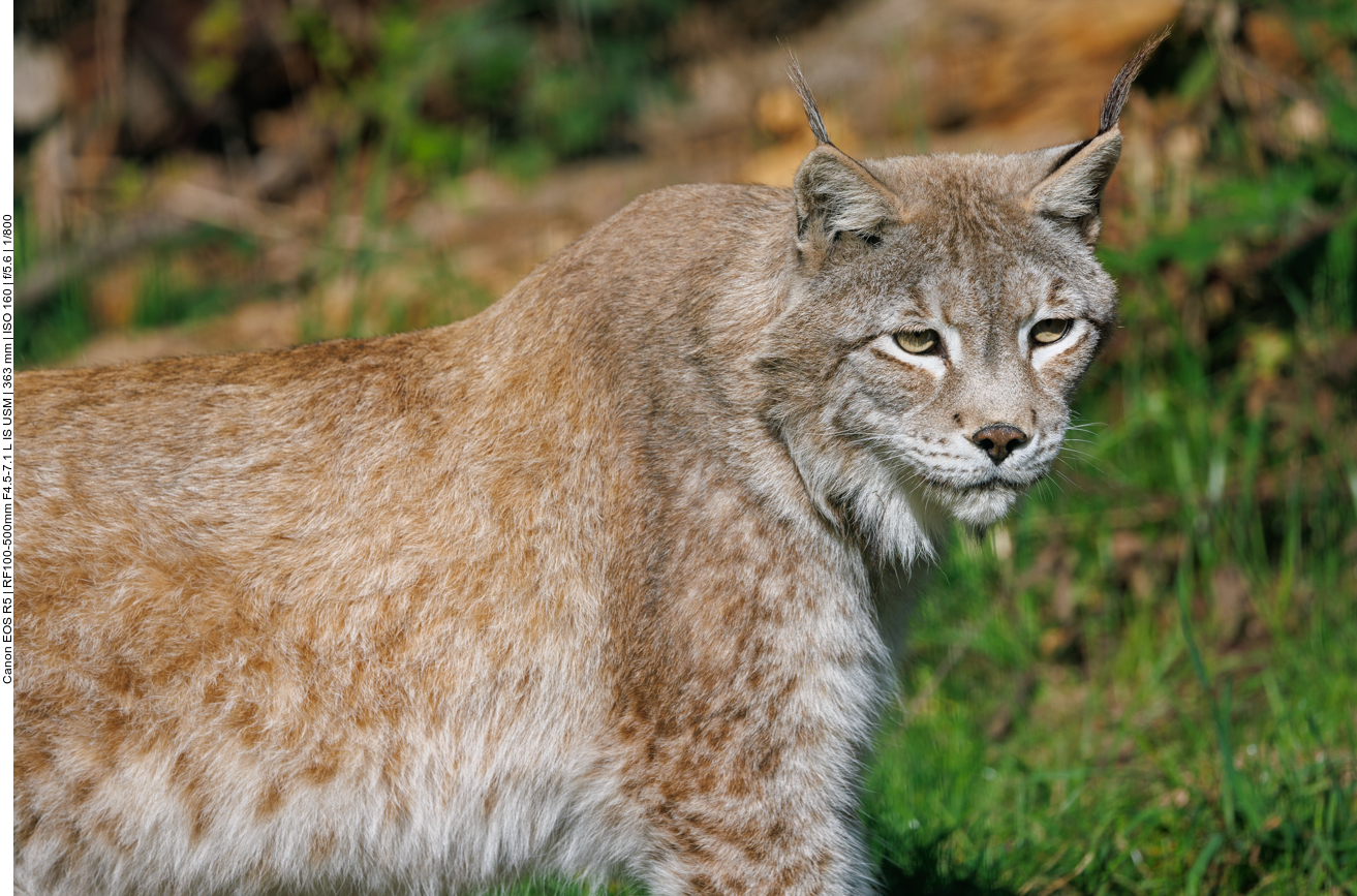 Dann suche ich mal weiter