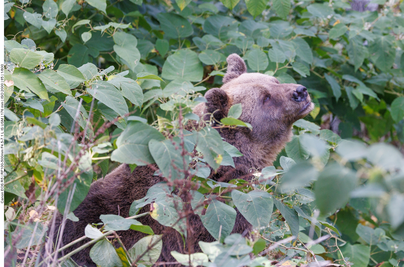 Hm, nach was riecht es denn hier?