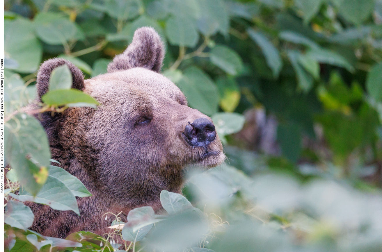 Da muss doch irgendwo eine Leckerei sein