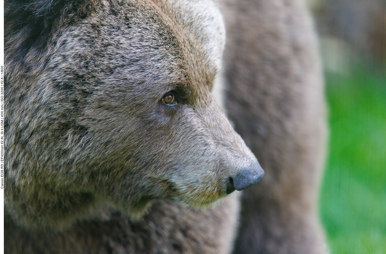 Was geht denn da drüben ab?