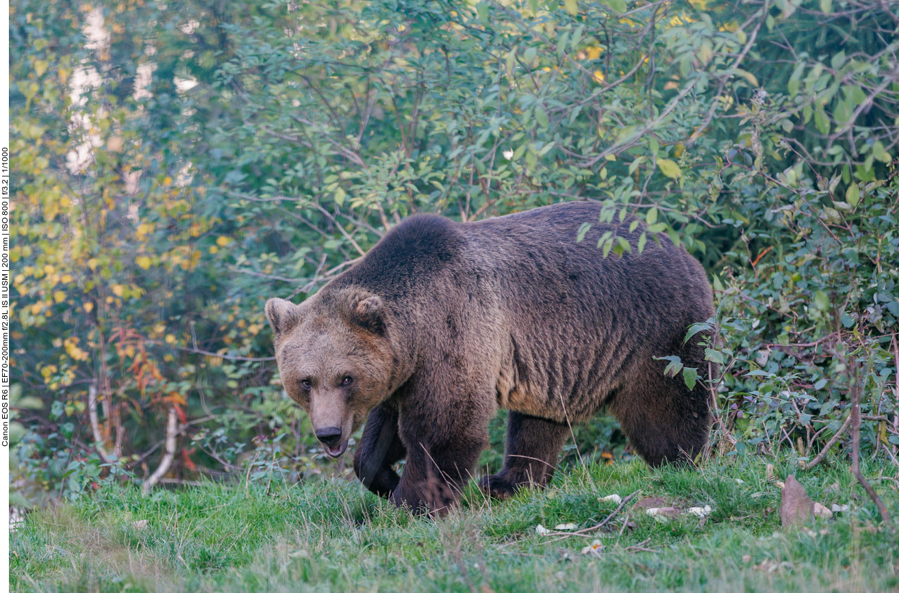 Jetzt muss ich erstmal für Ordnung im Revier sorgen
