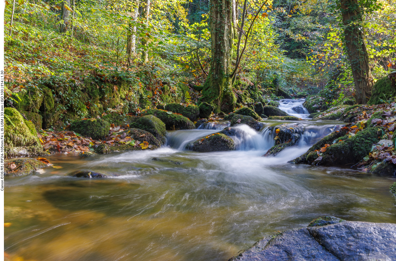 Der Gertelbach fließt ins Tal