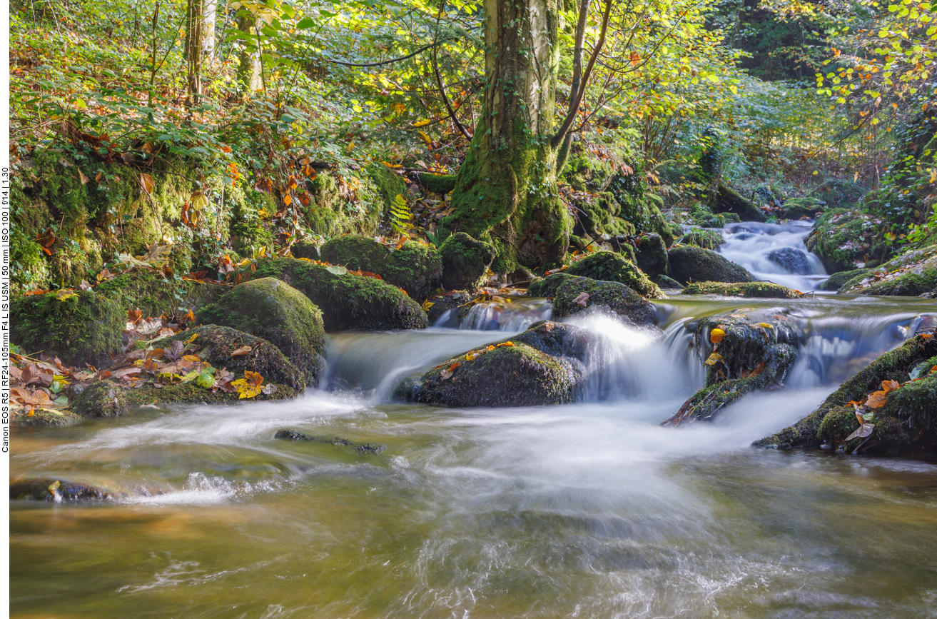 Die Stromschnellen etwas näher betrachtet