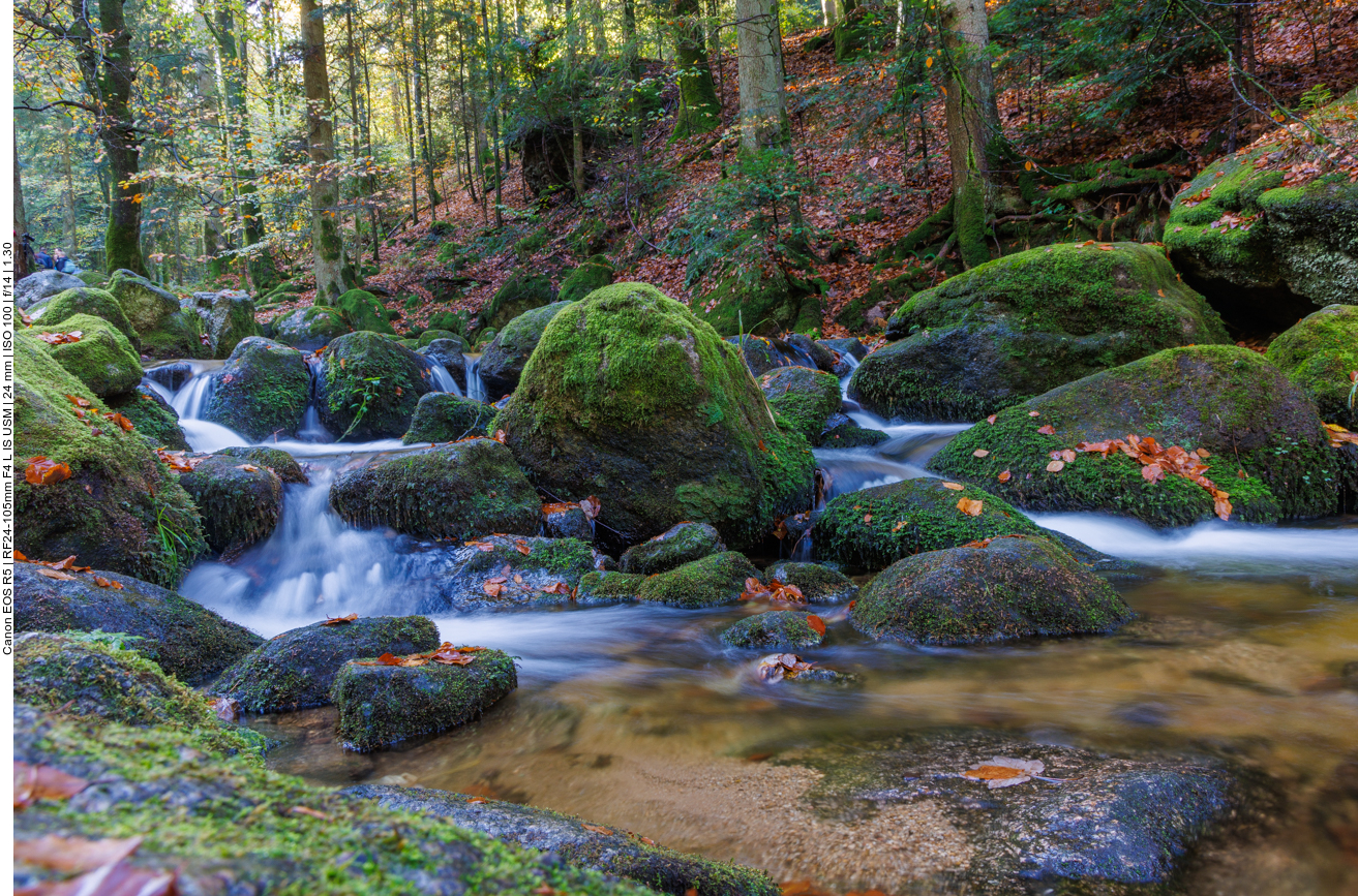 Bemooste Felsen im Gertelbach