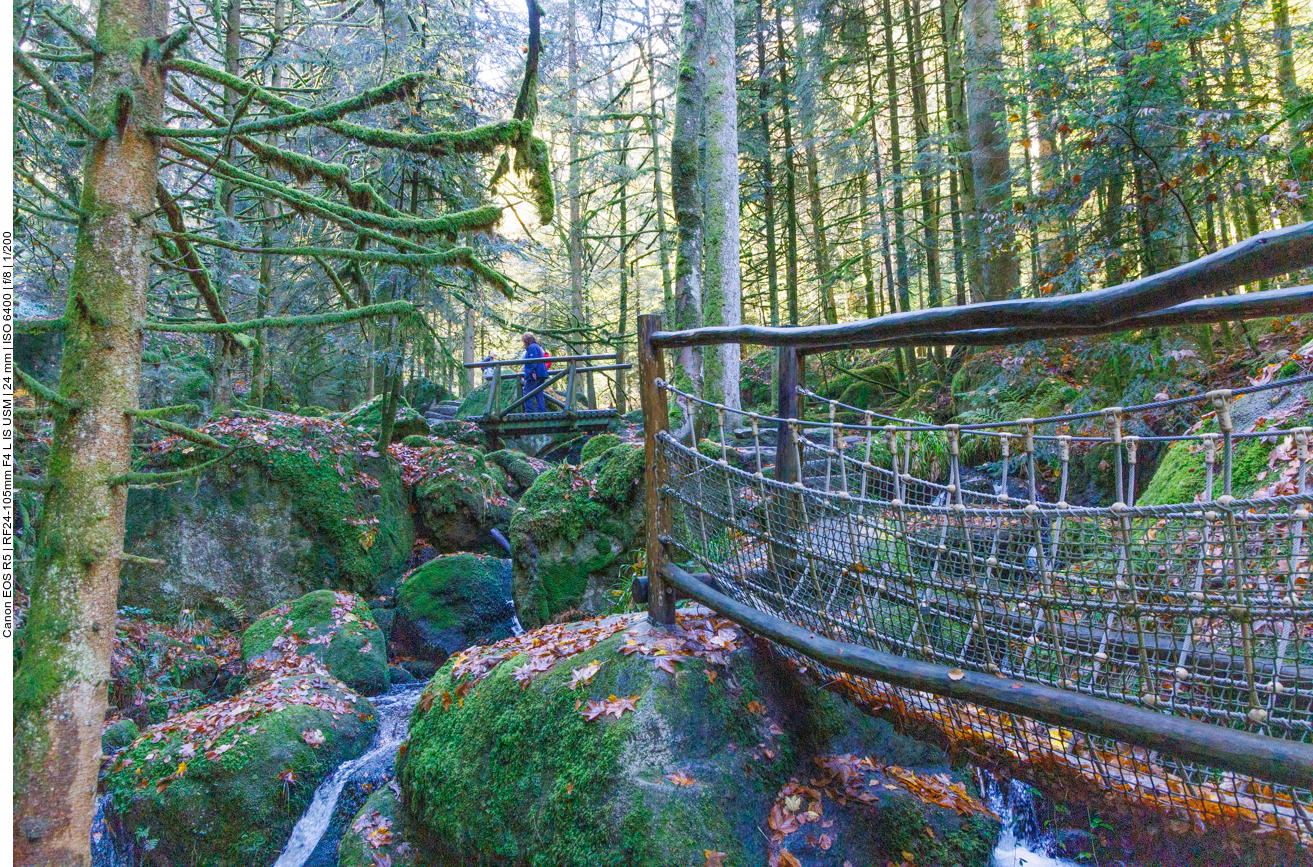 Mehrere Brücken führen über den Bach