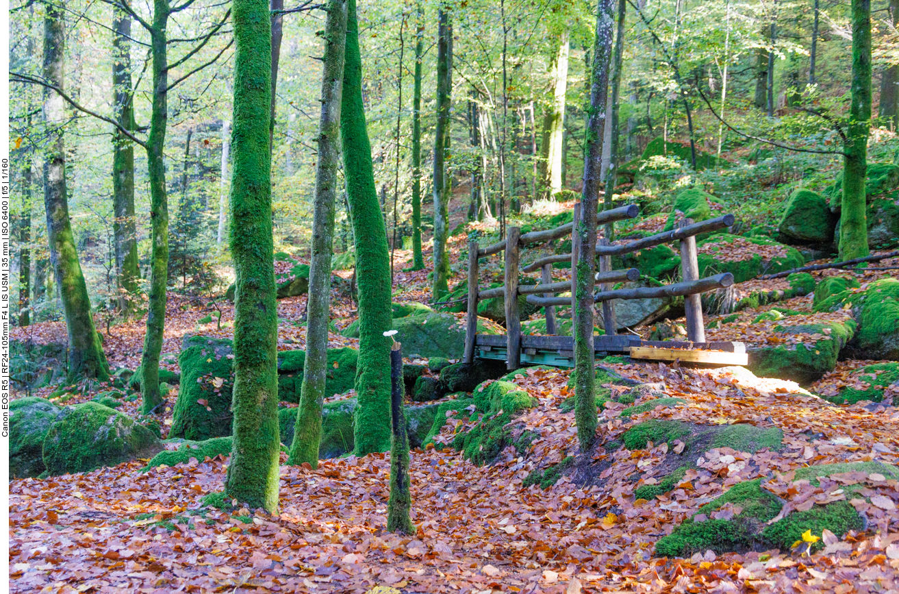 Brücke auf dem Wanderweg