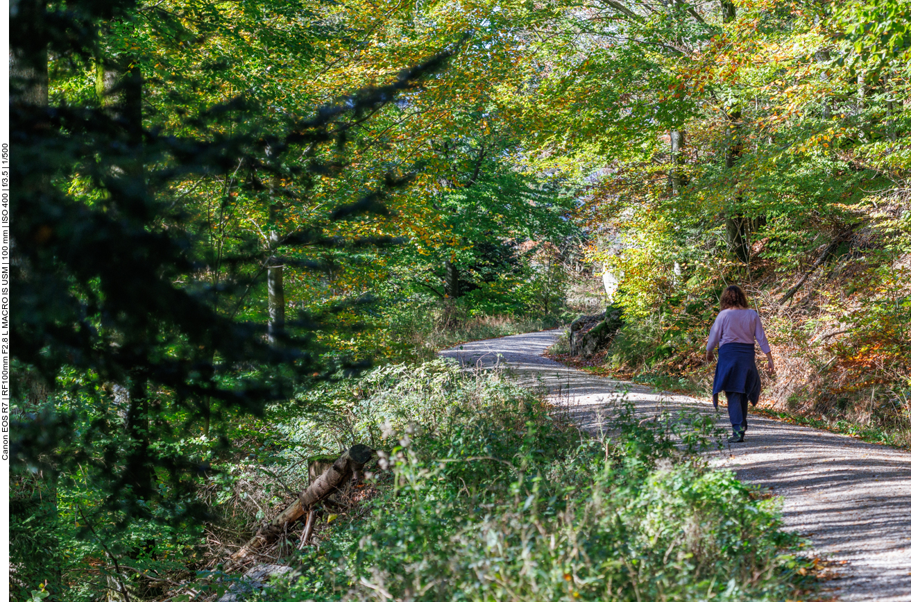 Auf dem Rückweg zum Parkplatz