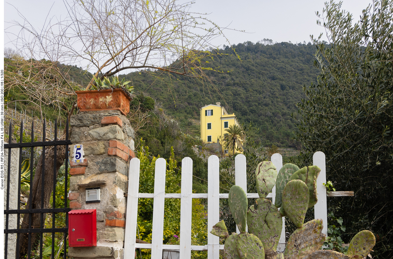 Zwischendrin Häuser mit schönen Gärten