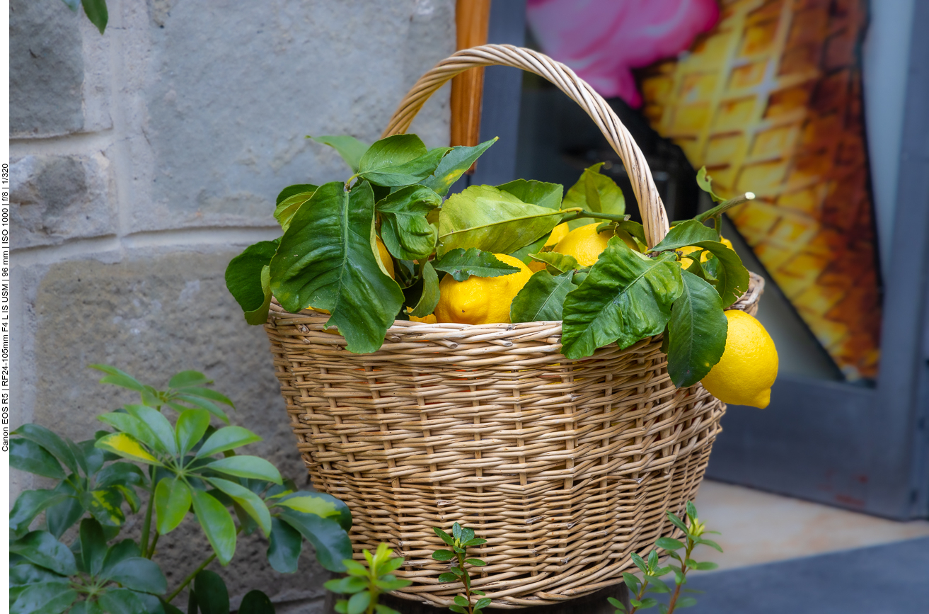 Überall leuchten die Zitronen