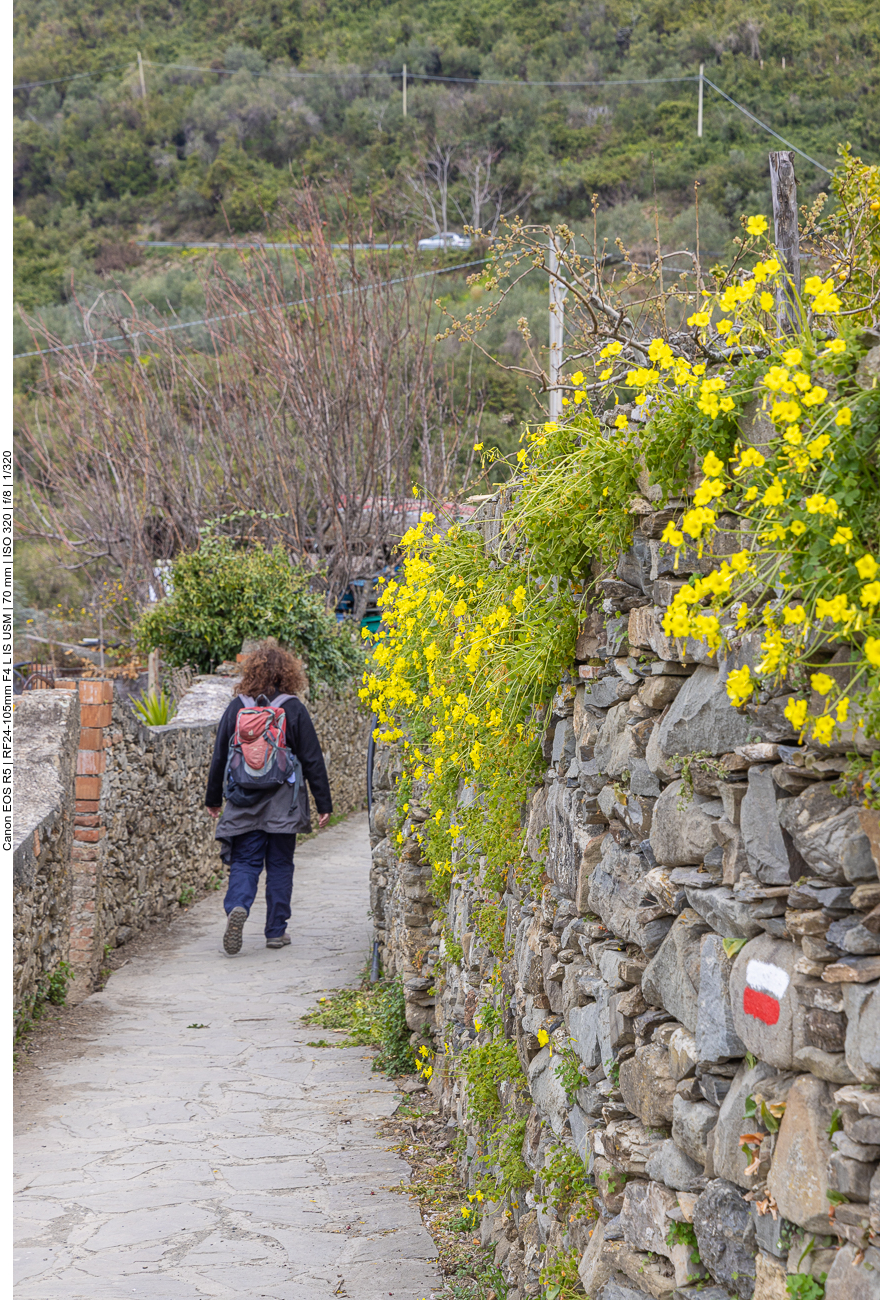 Immer an der pflanzenreichen Wand lang