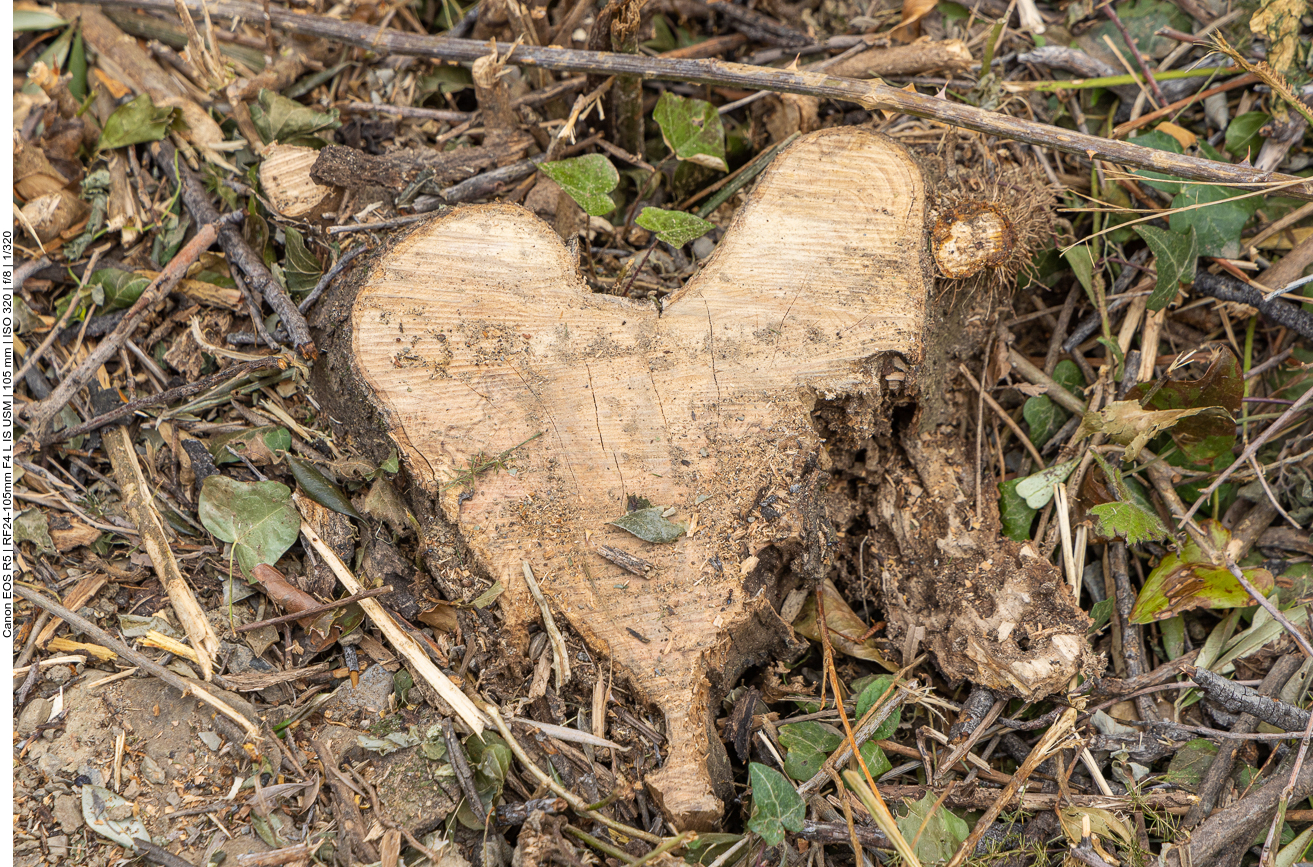 Hier hat die Natur ein Herz geformt und der Mensch hat es freigelegt