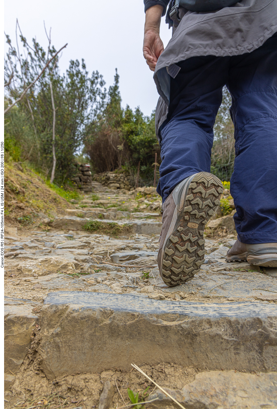 Fleißig stapfen wir bergan