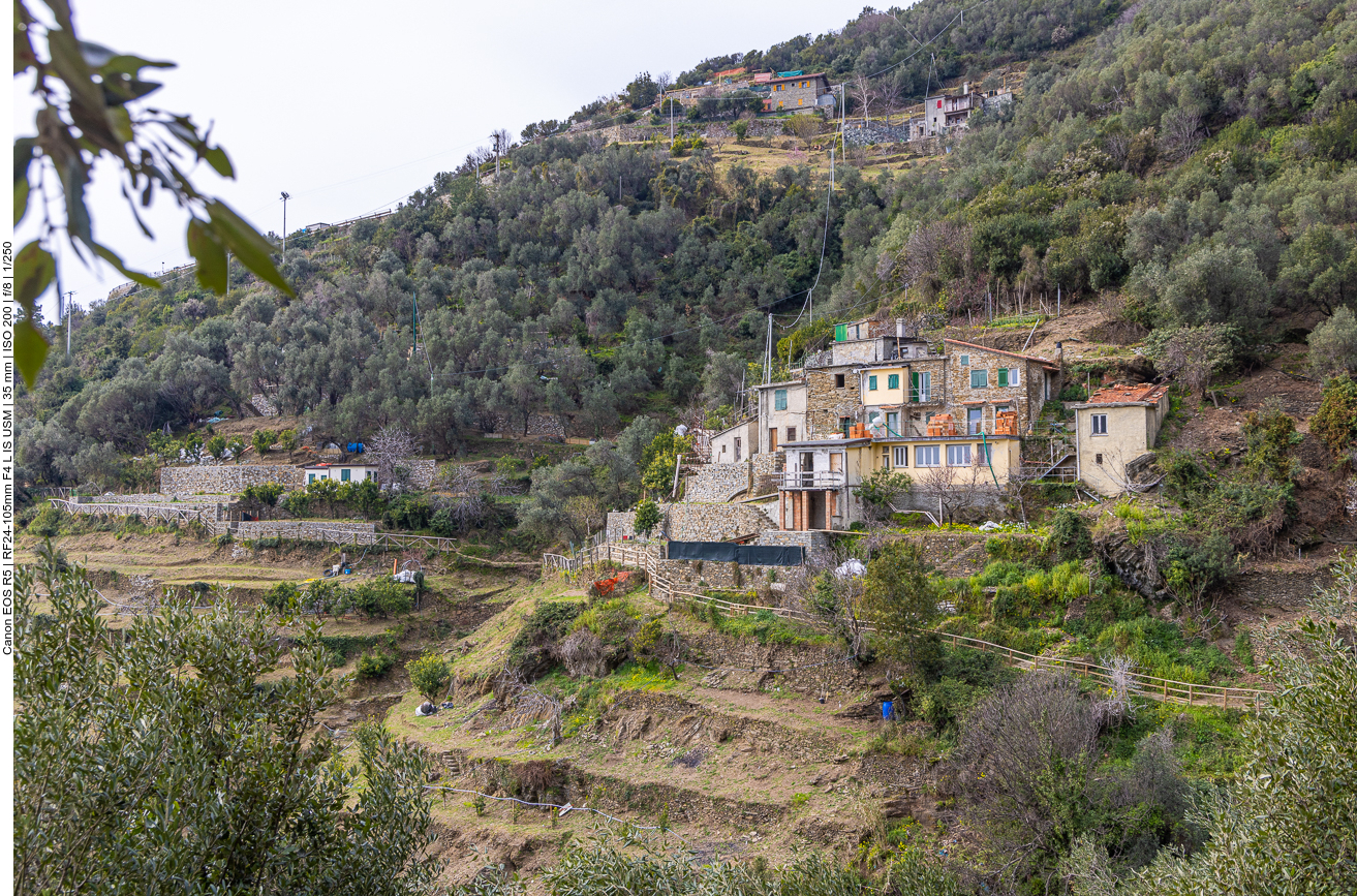 Gehöft am Hang mit Terrassenanbau