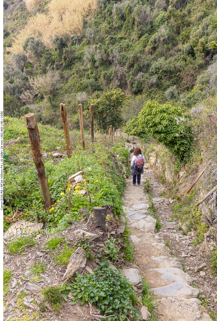 Immer weiter geht es bergab